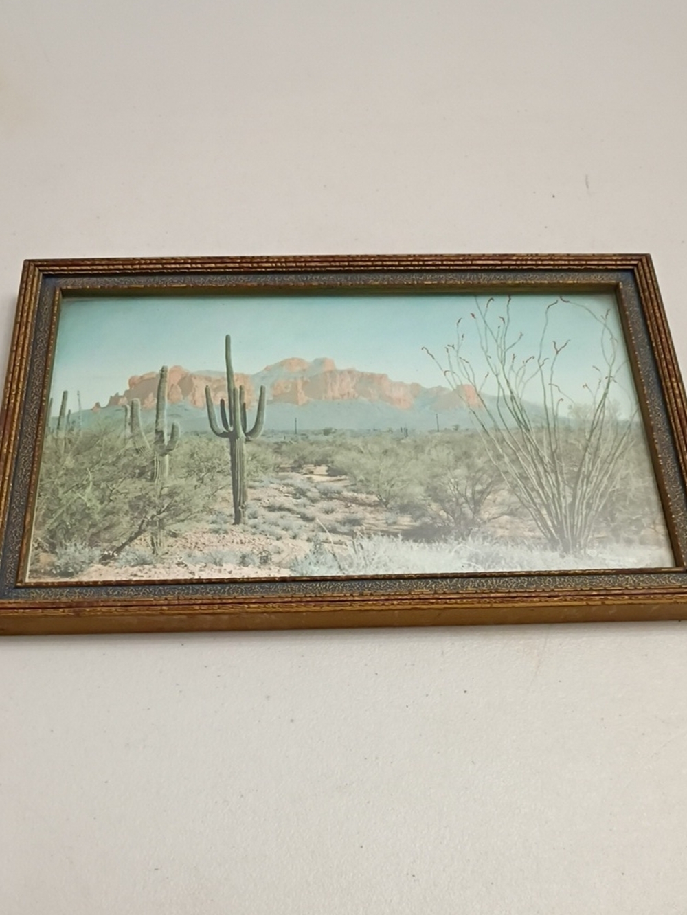 Vintage Hand Colored Superstition Mtn Desert Landscape Wall Art